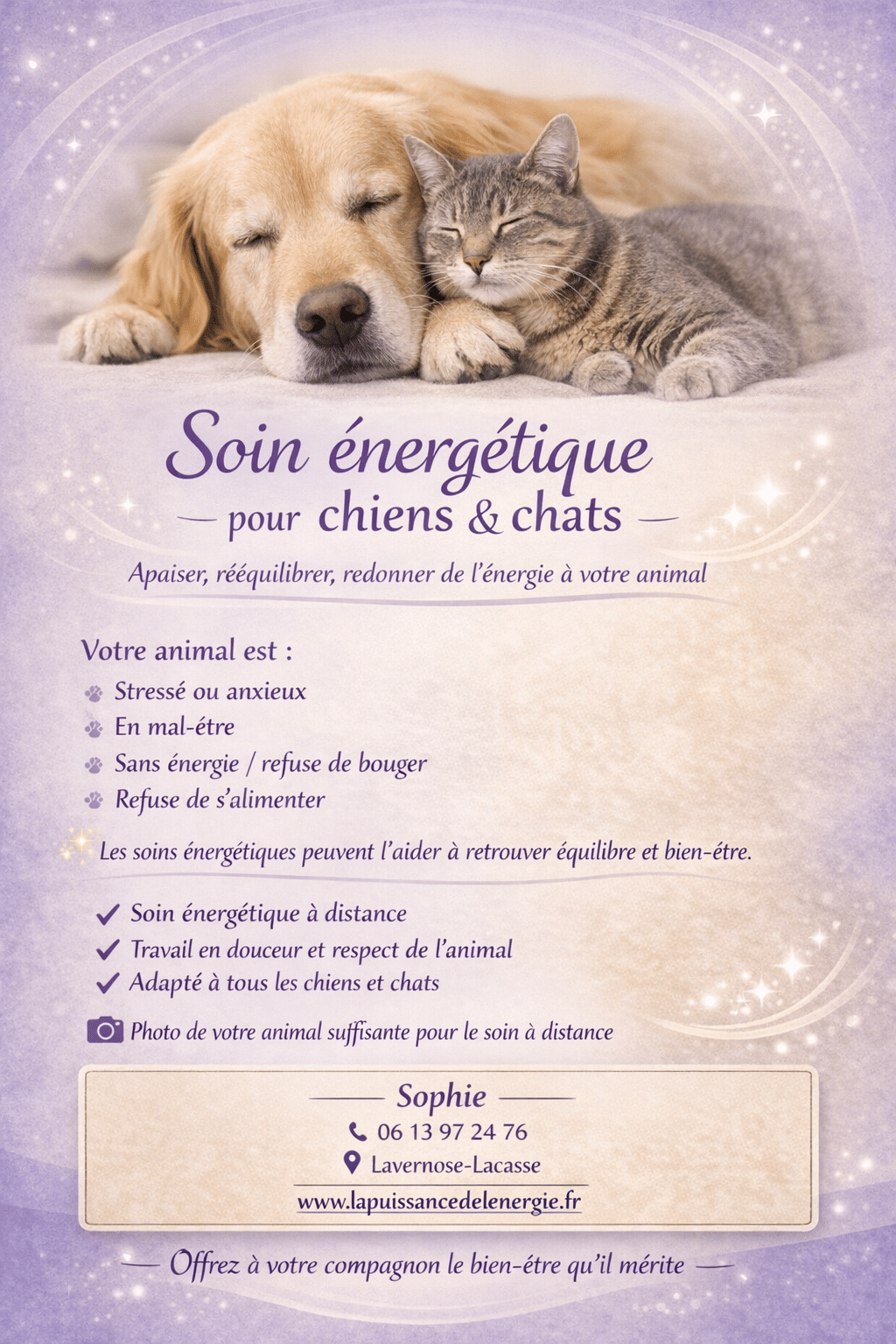 Soin énergétique pour chiens et chats par Sophie. Apaiser et rééquilibrer l'animal. Chien et chat dormant paisiblement.